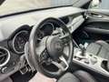 Alfa Romeo Stelvio Sprint Q4 Veloce Paket mit AHK Grau - thumbnail 22