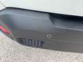 Jeep Renegade Renegade 1.6 mjt Longitude 2wd 130cv Blanc - thumbnail 13