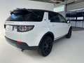 Land Rover Discovery Sport Discovery Sport 2.0 td4 HSE Luxury awd 180cv auto Fehér - thumbnail 4