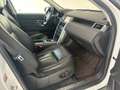 Land Rover Discovery Sport Discovery Sport 2.0 td4 HSE Luxury awd 180cv auto Fehér - thumbnail 28