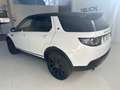 Land Rover Discovery Sport Discovery Sport 2.0 td4 HSE Luxury awd 180cv auto Fehér - thumbnail 5