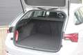 Skoda Octavia Combi 1.4 TSI iV Style | Head-up | Memorystoelen | Argent - thumbnail 8