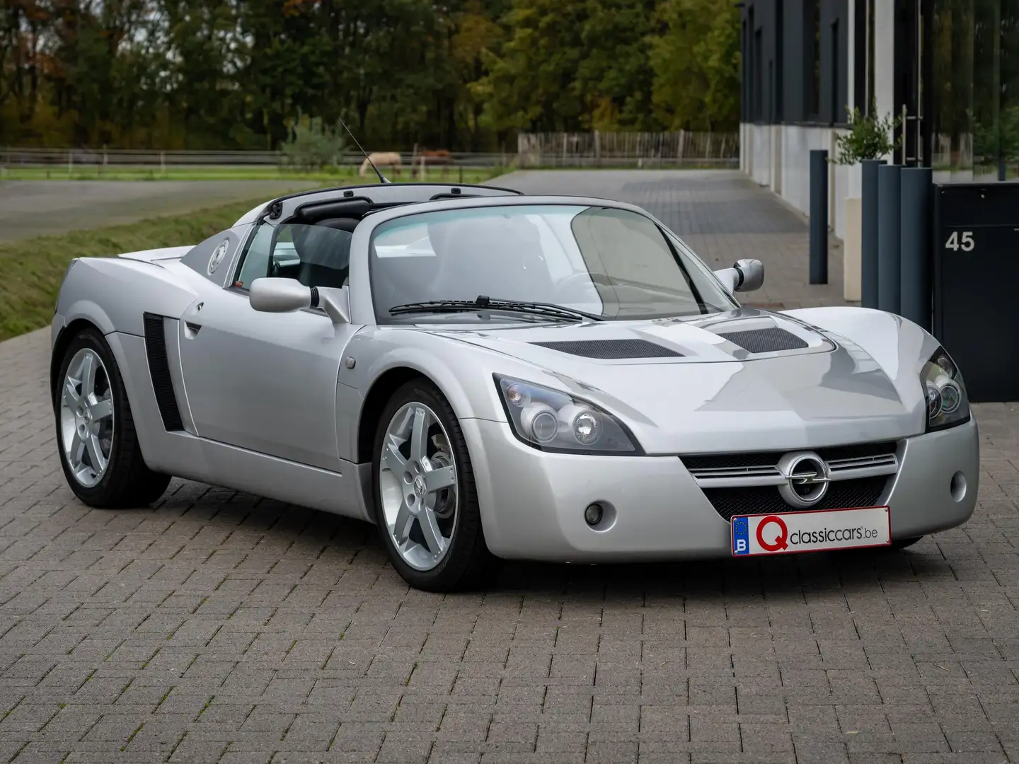 Opel Speedster Zilver - 1