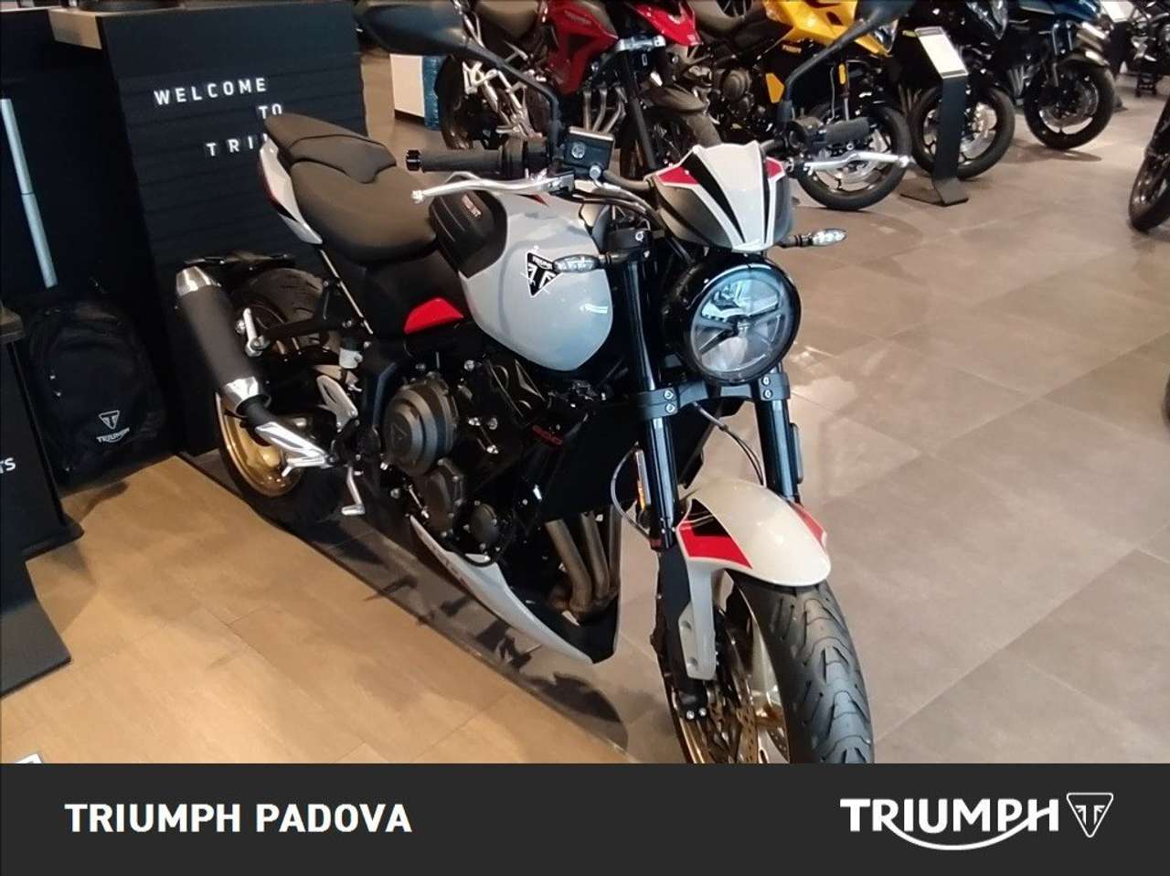 Triumph Trident 660 800cc MY26