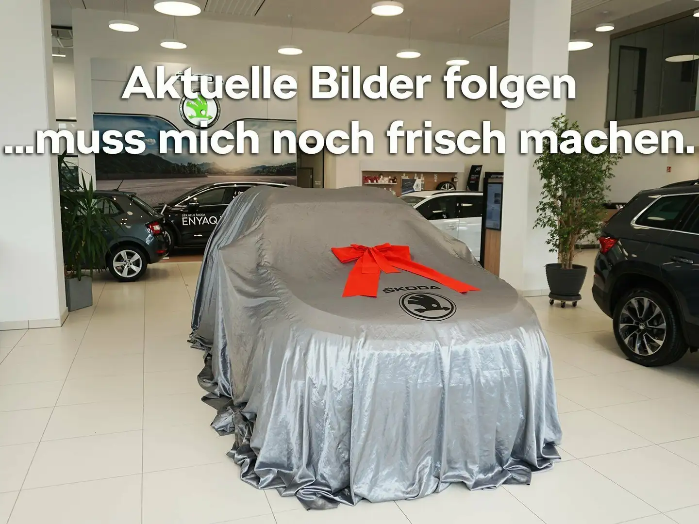 Skoda Octavia Combi Selection 2.0 TDI DSG 150 PS NAVI Grau - 1