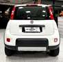 Fiat Panda Panda 0.9 t.air t. 4x4 "OK NEO PATENTATI" Blanc - thumbnail 8