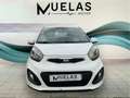 Kia Picanto 1.0 Concept Blanco - thumbnail 5