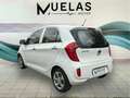 Kia Picanto 1.0 Concept Blanco - thumbnail 3