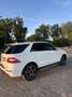 Mercedes-Benz ML 350 BlueTEC 4MATIC 7G-TRONIC - thumbnail 4