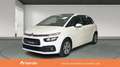 Citroen C4 1.5 BlueHDI S&S Plus EAT8 130 Blanco - thumbnail 1