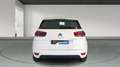 Citroen C4 1.5 BlueHDI S&S Plus EAT8 130 Blanco - thumbnail 8