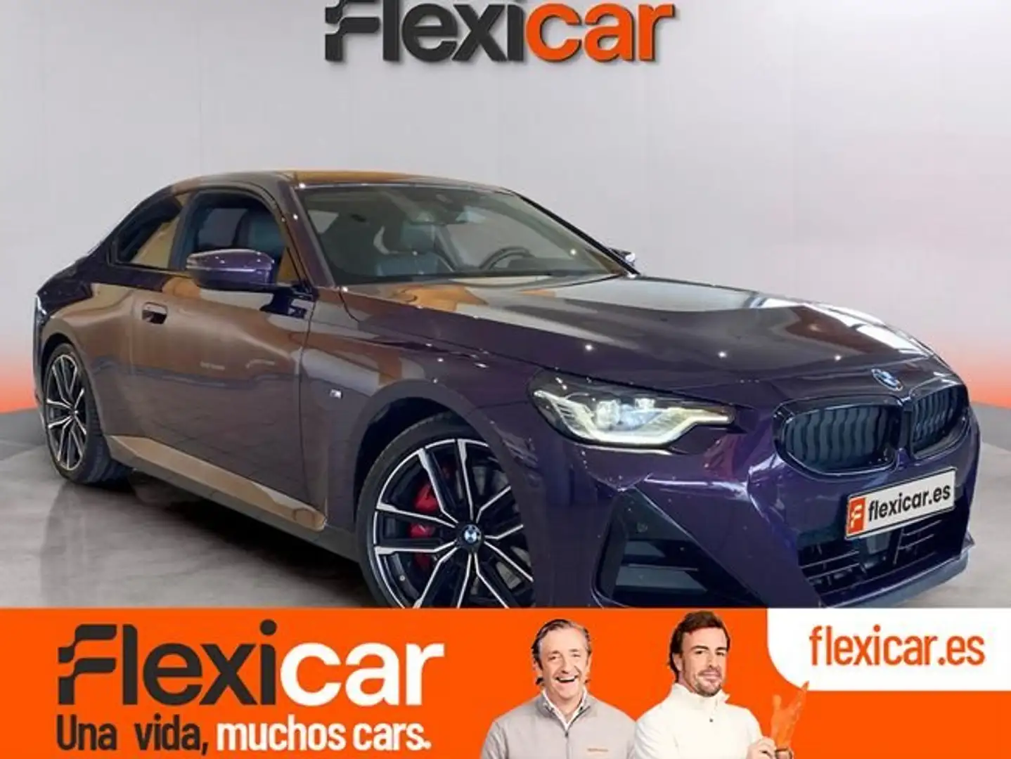 BMW 220 220iA Burdeos - 1