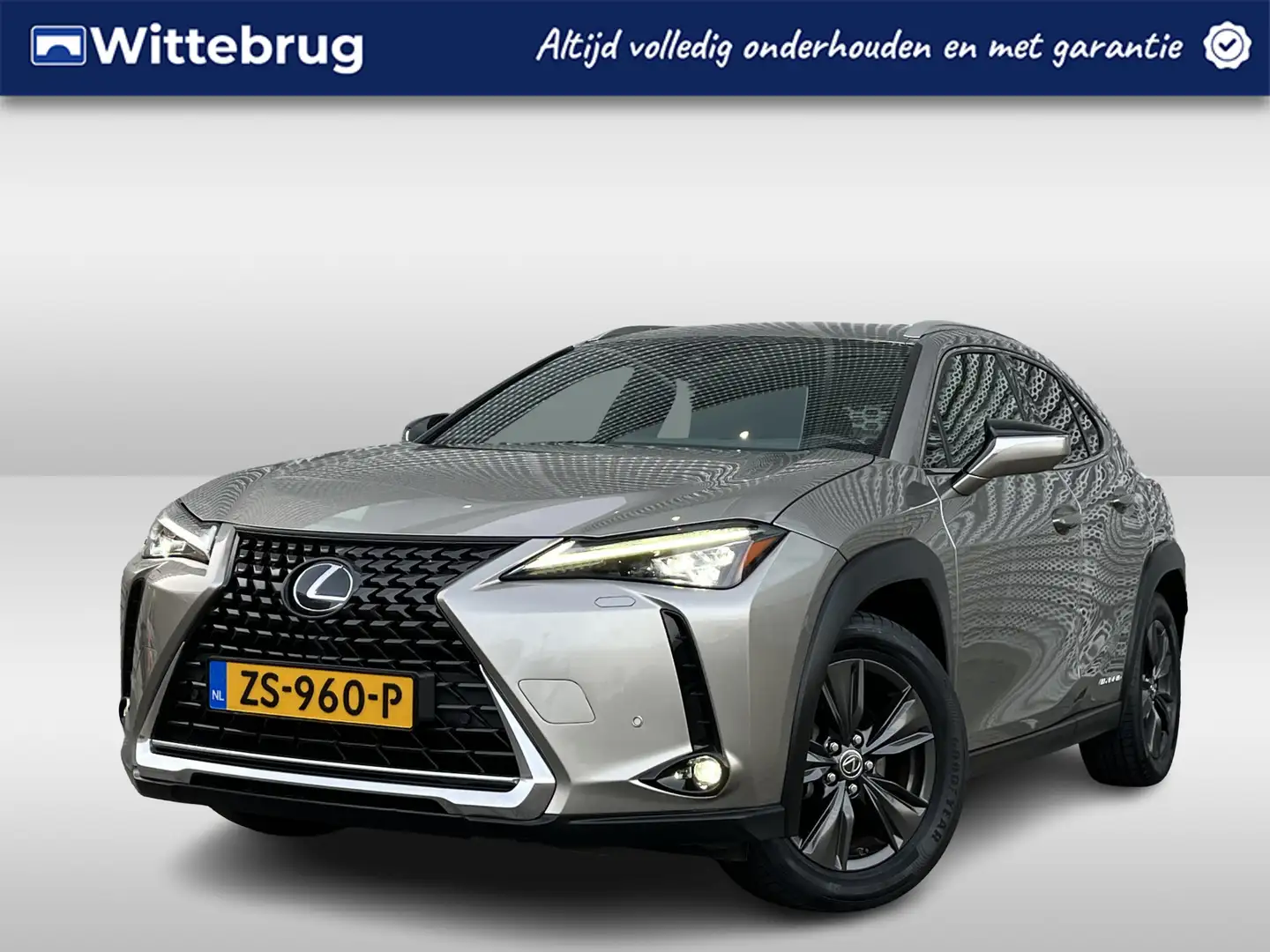 Lexus UX 250h First Edition / Navigatie / Alcantara / Camera / P Gris - 1