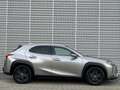 Lexus UX 250h First Edition / Navigatie / Alcantara / Camera / P Gris - thumbnail 11