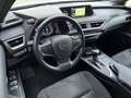 Lexus UX 250h First Edition / Navigatie / Alcantara / Camera / P Gris - thumbnail 14