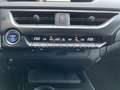 Lexus UX 250h First Edition / Navigatie / Alcantara / Camera / P Gris - thumbnail 23