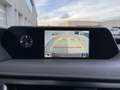 Lexus UX 250h First Edition / Navigatie / Alcantara / Camera / P Gris - thumbnail 27