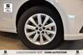 SEAT Ibiza 1.0 TGI 5 porte Business Bianco - thumbnail 6
