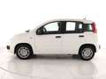 Fiat Panda 1.0 firefly hybrid s&s 70cv 5p.ti Blanc - thumbnail 2