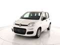 Fiat Panda 1.0 firefly hybrid s&s 70cv 5p.ti Blanc - thumbnail 1