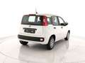 Fiat Panda 1.0 firefly hybrid s&s 70cv 5p.ti Blanc - thumbnail 3