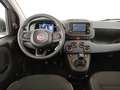 Fiat Panda 1.0 firefly hybrid s&s 70cv 5p.ti Blanc - thumbnail 9