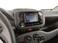 Fiat Panda 1.0 firefly hybrid s&s 70cv 5p.ti Blanc - thumbnail 11