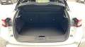Nissan Juke 1.0 DIG-T 114ch N-Sport DCT7 2024 - thumbnail 14