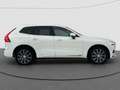 Volvo XC60 2.0 T8 Twin Engine AWD Inscription | Luxury | Lede Blanc - thumbnail 2