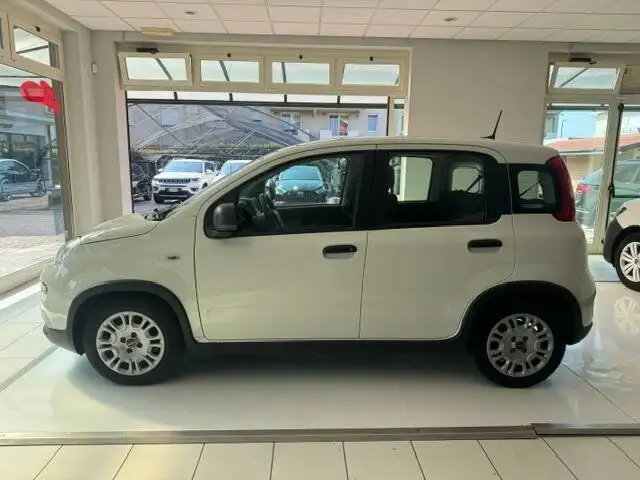 Fiat Panda view 2