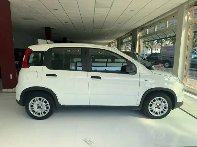 Fiat Panda view 6