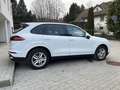 Porsche Cayenne Diesel Platinum Edition - thumbnail 9