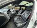 Porsche Cayenne Diesel Platinum Edition - thumbnail 19