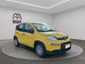 Fiat Panda 1.0 firefly hybrid s&s 70cv Gold - thumbnail 3