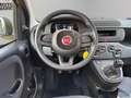 Fiat Panda 1.0 firefly hybrid s&s 70cv Gold - thumbnail 16