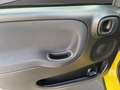 Fiat Panda 1.0 firefly hybrid s&s 70cv Gold - thumbnail 15