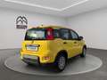 Fiat Panda 1.0 firefly hybrid s&s 70cv Gold - thumbnail 7