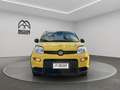 Fiat Panda 1.0 firefly hybrid s&s 70cv Gold - thumbnail 2