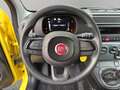 Fiat Panda 1.0 firefly hybrid s&s 70cv Gold - thumbnail 10