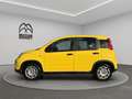 Fiat Panda 1.0 firefly hybrid s&s 70cv Gold - thumbnail 5