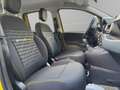 Fiat Panda 1.0 firefly hybrid s&s 70cv Gold - thumbnail 19