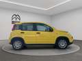 Fiat Panda 1.0 firefly hybrid s&s 70cv Gold - thumbnail 4