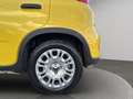 Fiat Panda 1.0 firefly hybrid s&s 70cv Gold - thumbnail 20