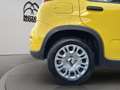 Fiat Panda 1.0 firefly hybrid s&s 70cv Gold - thumbnail 21