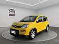 Fiat Panda 1.0 firefly hybrid s&s 70cv Gold - thumbnail 1