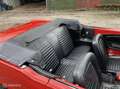 Ford Mustang USA convertible v8 c-code Rojo - thumbnail 14