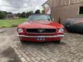 Ford Mustang USA convertible v8 c-code Rojo - thumbnail 38