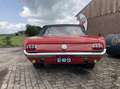 Ford Mustang USA convertible v8 c-code Rojo - thumbnail 12
