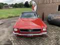 Ford Mustang USA convertible v8 c-code Rojo - thumbnail 6