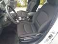 Hyundai i30 Kombi 1,0 TGDI Go! Plus Automatic Weiß - thumbnail 20